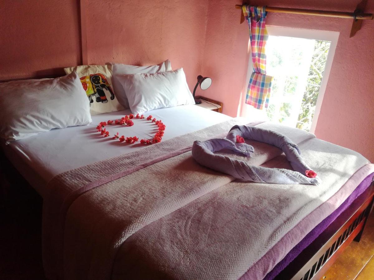 Sincere Wilderness Home Stay Nuwara Eliya Dış mekan fotoğraf